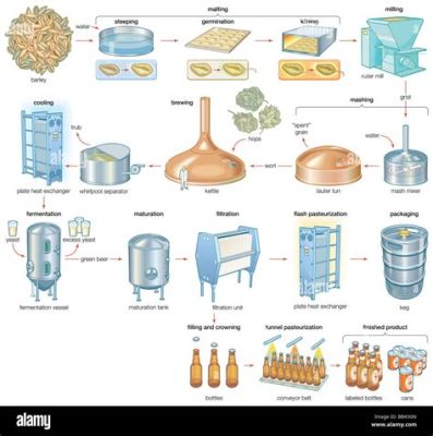  Barley: Un potente cereale per il tuo processo di produzione birraria e alimentari biologici!