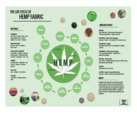 Hemp Fibres: Versatility and Sustainability for the Modern Textile Industry!