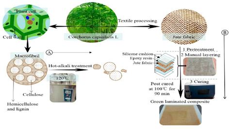  Jute: Fiber rinforzante per biomateriali ad alta performance!